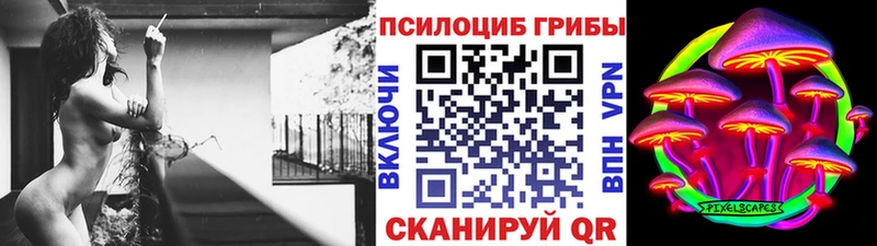 hydra сайт  Суздаль  Галлюциногенные грибы Cubensis  darknet клад  наркошоп 